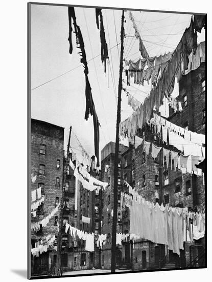 New York: Tenement, 1936-null-Mounted Photographic Print