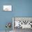 New York, USA. Chinese Mantis.-Karen Ann Sullivan-Framed Premier Image Canvas displayed on a wall