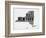 New York Word Cloud 2-NaxArt-Framed Premium Giclee Print