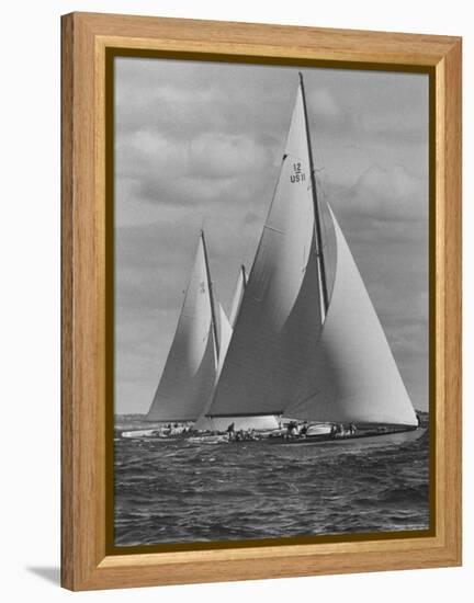New York Yacht Club Races-Walter Sanders-Framed Premier Image Canvas
