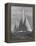 New York Yacht Club Races-Walter Sanders-Framed Premier Image Canvas