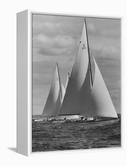 New York Yacht Club Races-Walter Sanders-Framed Premier Image Canvas