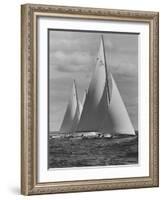 New York Yacht Club Races-Walter Sanders-Framed Photographic Print