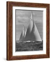 New York Yacht Club Races-Walter Sanders-Framed Photographic Print