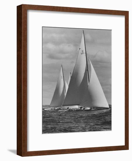 New York Yacht Club Races-Walter Sanders-Framed Photographic Print