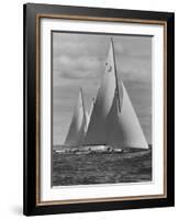 New York Yacht Club Races-Walter Sanders-Framed Photographic Print