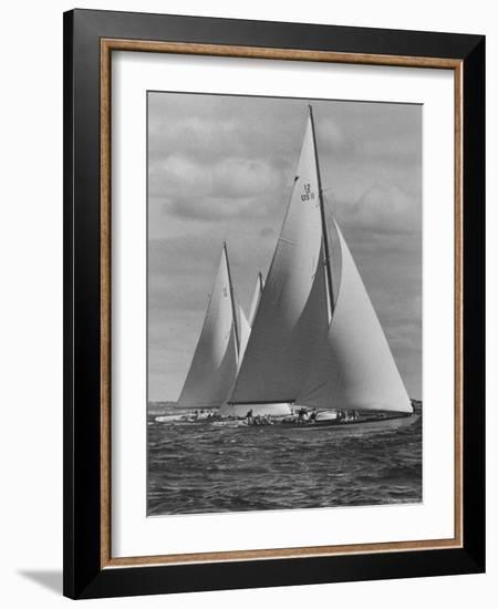 New York Yacht Club Races-Walter Sanders-Framed Photographic Print