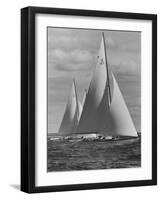 New York Yacht Club Races-Walter Sanders-Framed Photographic Print