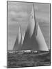 New York Yacht Club Races-Walter Sanders-Mounted Photographic Print