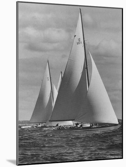 New York Yacht Club Races-Walter Sanders-Mounted Photographic Print