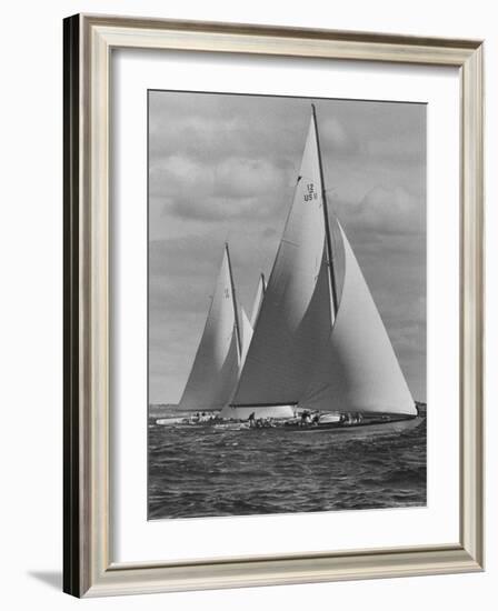 New York Yacht Club Races-Walter Sanders-Framed Photographic Print