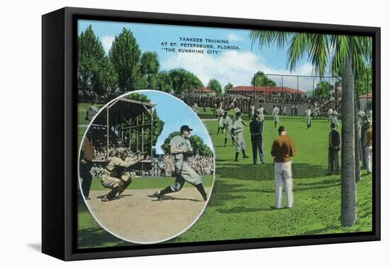 New York Yankees in Training Scene - St. Petersburg, FL-Lantern Press-Framed Stretched Canvas