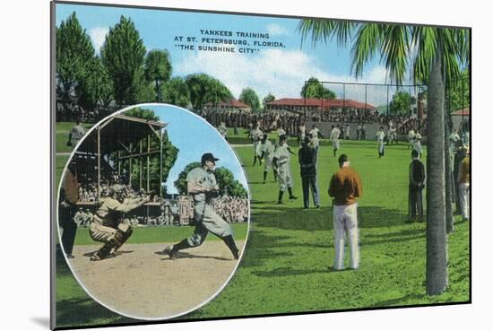 New York Yankees in Training Scene - St. Petersburg, FL-Lantern Press-Mounted Art Print