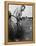 New York Yankees. Retired Outfielder Babe Ruth Playing Golf, Late 1940s-null-Framed Stretched Canvas