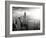 New York-null-Framed Photographic Print