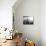 New York-null-Mounted Photographic Print displayed on a wall