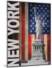 New York-Todd Williams-Mounted Art Print