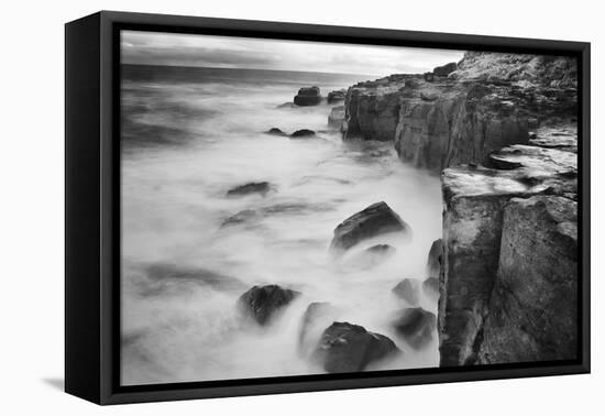 New Zealand, Asia, Catlins National Forest, Curio Bay, Surf-John Ford-Framed Premier Image Canvas