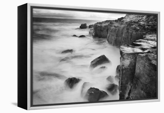 New Zealand, Asia, Catlins National Forest, Curio Bay, Surf-John Ford-Framed Premier Image Canvas
