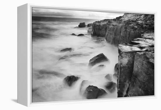 New Zealand, Asia, Catlins National Forest, Curio Bay, Surf-John Ford-Framed Premier Image Canvas