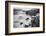 New Zealand, Asia, Catlins National Forest, Curio Bay, Surf-John Ford-Framed Photographic Print