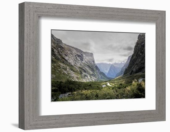 New Zealand, Commonwealth, Milford Sound, South Island-null-Framed Photographic Print