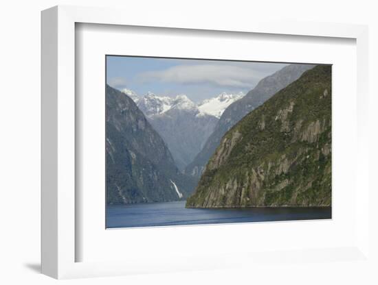 New Zealand, Fiordland National Park, Milford Sound. Scenic Fjord-Cindy Miller Hopkins-Framed Photographic Print