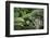 New Zealand, Fjordland National Park, Greenstone Track, Rainforest-Catharina Lux-Framed Photographic Print