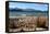 New Zealand, Fjordland National Park, Lake Manapouri-Catharina Lux-Framed Premier Image Canvas