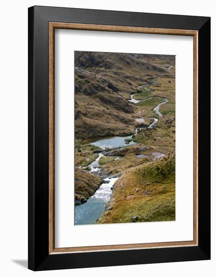New Zealand, Fjordland National Park, Routeburn Track, Harris Saddle-Catharina Lux-Framed Photographic Print