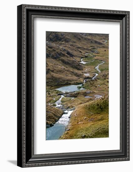 New Zealand, Fjordland National Park, Routeburn Track, Harris Saddle-Catharina Lux-Framed Photographic Print