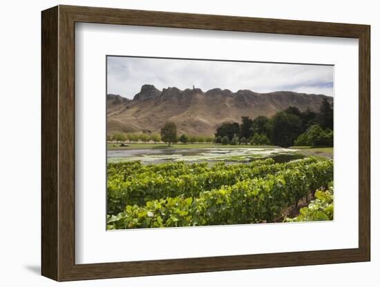 New Zealand, Havelock North. Te Mata Peak, view from vineyards-Walter Bibikow-Framed Photographic Print