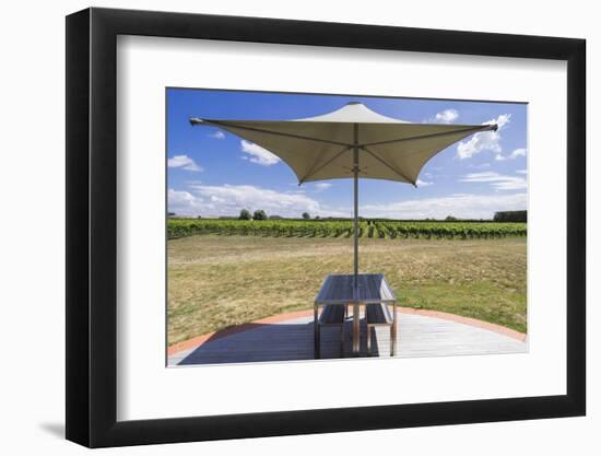 New Zealand, Hawkes Bay, Havelock North. Vineyard table-Walter Bibikow-Framed Photographic Print