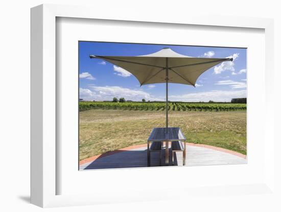 New Zealand, Hawkes Bay, Havelock North. Vineyard table-Walter Bibikow-Framed Photographic Print