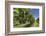 New Zealand, Hawkes Bay, Havelock North. Vineyard-Walter Bibikow-Framed Photographic Print