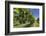 New Zealand, Hawkes Bay, Havelock North. Vineyard-Walter Bibikow-Framed Photographic Print