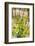 New Zealand, Hawkes Bay, Havelock North. Vineyard-Walter Bibikow-Framed Photographic Print