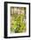 New Zealand, Hawkes Bay, Havelock North. Vineyard-Walter Bibikow-Framed Photographic Print