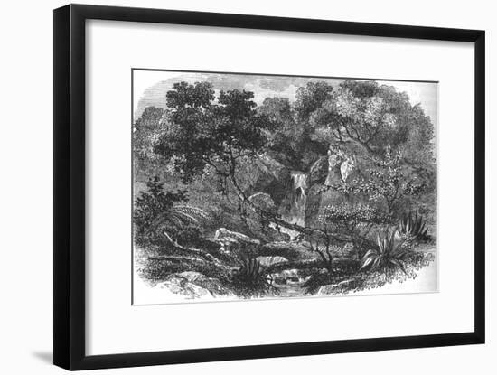 'New Zealand Landscape', c1880-Unknown-Framed Giclee Print