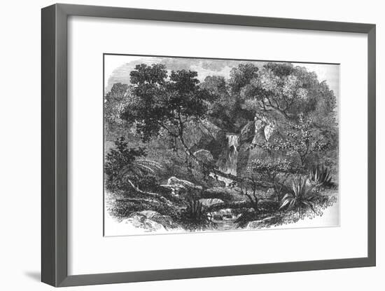 'New Zealand Landscape', c1880-Unknown-Framed Giclee Print