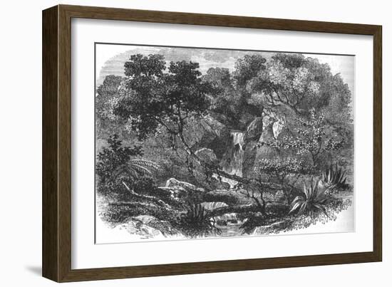 'New Zealand Landscape', c1880-Unknown-Framed Giclee Print