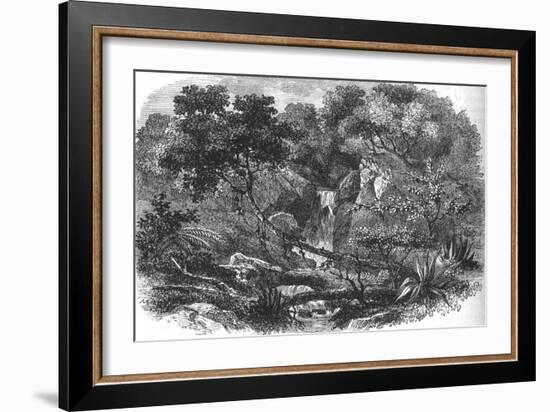 'New Zealand Landscape', c1880-Unknown-Framed Giclee Print