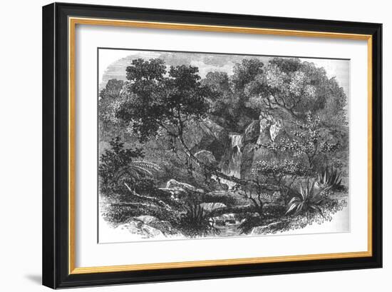 'New Zealand Landscape', c1880-Unknown-Framed Giclee Print