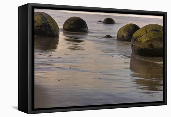 New Zealand, Moeraki Boulders-John Ford-Framed Premier Image Canvas