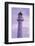 New Zealand, North Island, Castlepoint. Castlepoint Lighthouse-Walter Bibikow-Framed Photographic Print