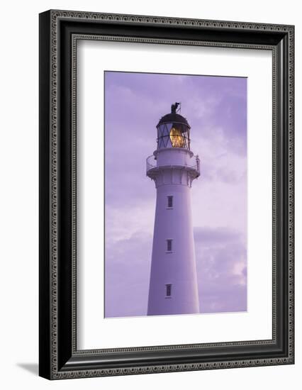 New Zealand, North Island, Castlepoint. Castlepoint Lighthouse-Walter Bibikow-Framed Photographic Print