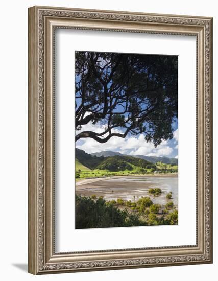 New Zealand, North Island, Coromandel Town, Colville, waterfront-Walter Bibikow-Framed Photographic Print