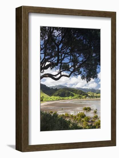 New Zealand, North Island, Coromandel Town, Colville, waterfront-Walter Bibikow-Framed Photographic Print