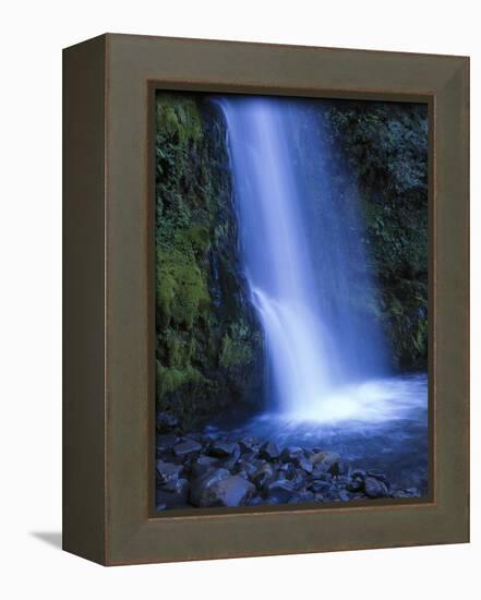 New Zealand, North Island, Dawson Falls, Waterfall-Thonig-Framed Premier Image Canvas