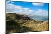 New Zealand, North Island, Dune Landscape, Omapere-Catharina Lux-Mounted Photographic Print